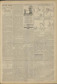 DELFTSCHE COURANT van Zaterdag 31 October 1925 84e Jaargang No. 256 Derde blad. BOEKEN. in Delftsche courant