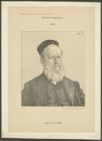Portret van Pieter Johannes Veth