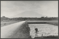 Java: oude verbindingsweg tussen Pandeglang en Rangkas Bitung in het district Lebak, de Gunung Karang, foto door Bert Vinkenborg