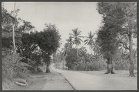 Pandeglang: de weg naar Serang, foto Bert Vinkenborg