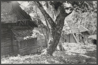 Java: de dessa Badur in het district Parang-Kujang. Badur is het dorp van Saïdjah en Adinda, foto door Bert Vinkenborg